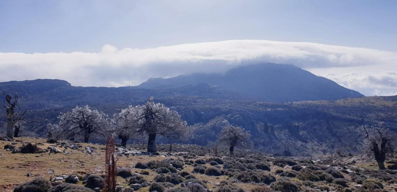 Hotel Sierra Hidalga Ronda Bagian luar foto